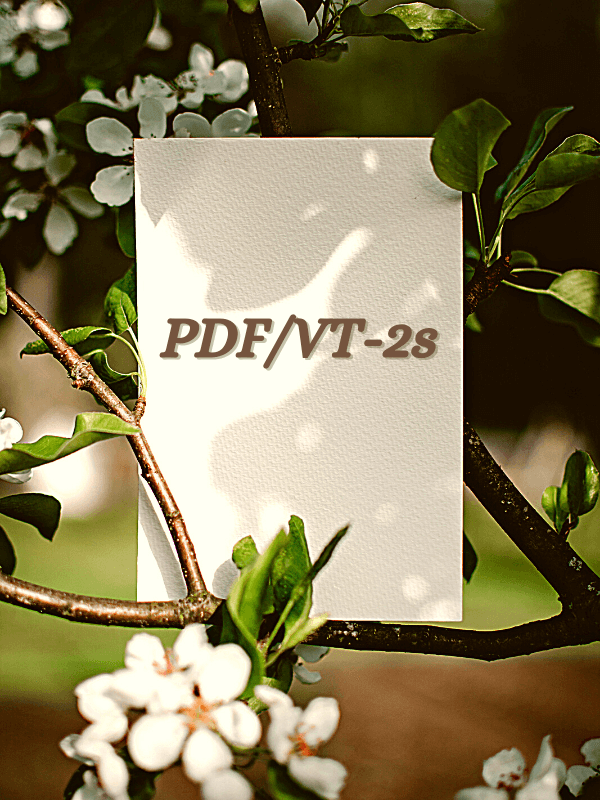 PDF/VT-2s