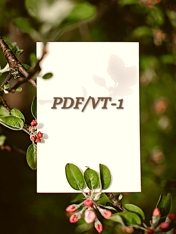 PDF/VT-1