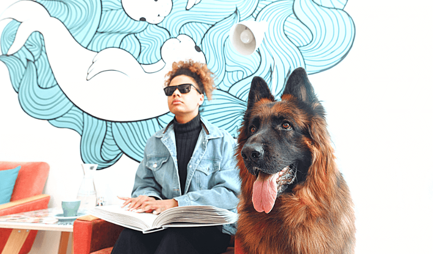 Was ist PDF/UA? 5 PDF/UA