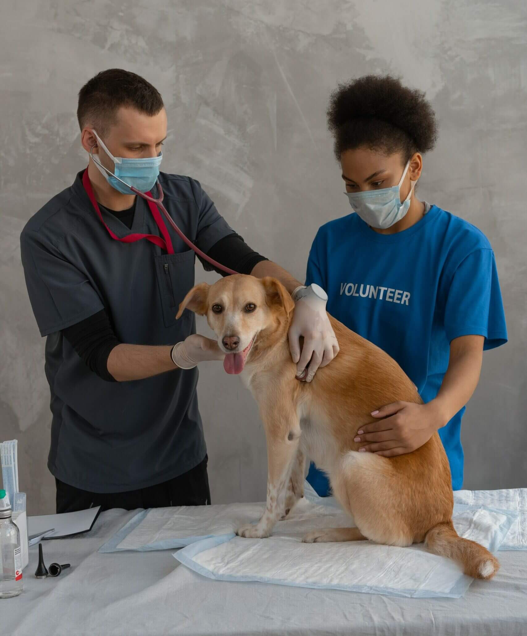 PDF en el ámbito médico