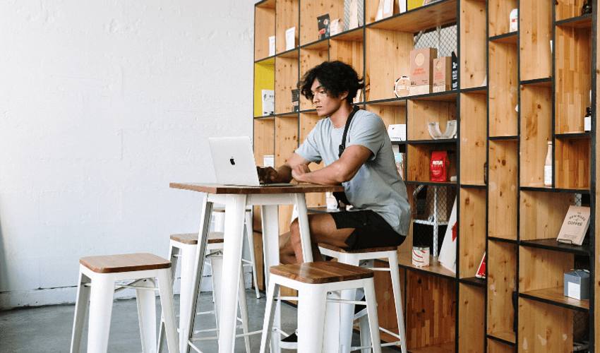 Interactive PDF Presentations in Multimedia Learning