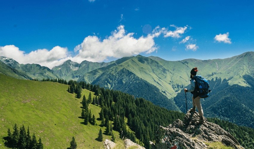 Travel Insurance Policies in PDF: