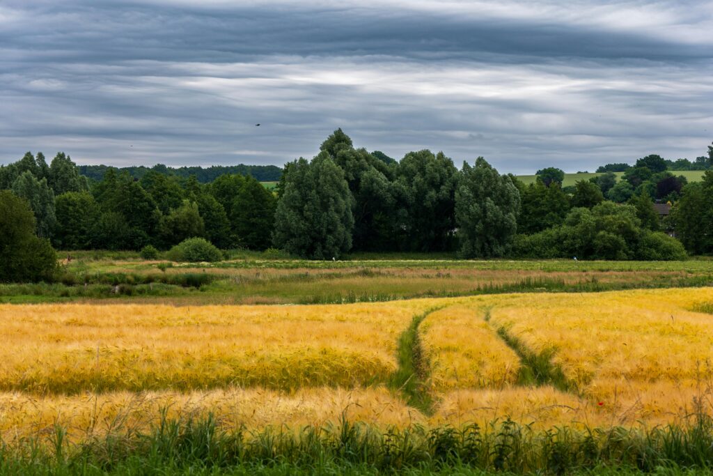 pexels strannik sk 32602157 1